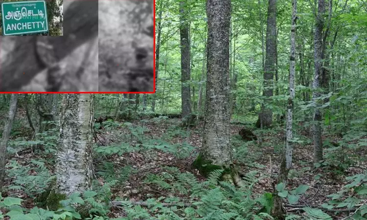 வனப்பகுதியில் மெய்மறந்து உல்லாசம்: பார்க்க கூடாததை பார்த்த கணவர்...கள்ளக்காதல் ஜோடி செய்த காரியம்