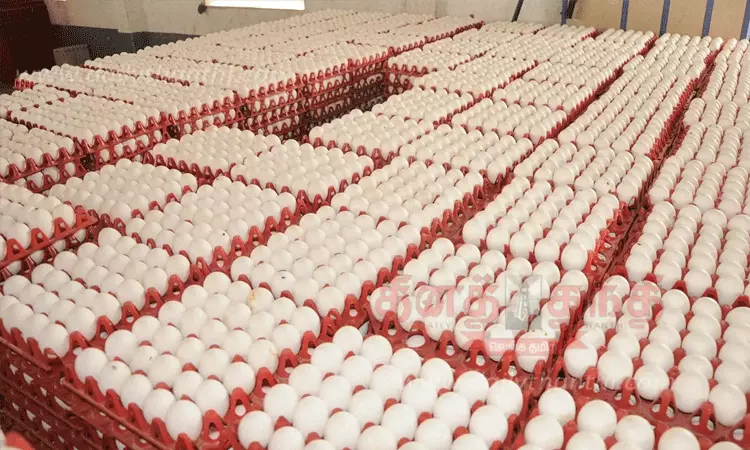 நாமக்கல் மண்டலத்தில் முட்டை கொள்முதல் விலை அதிரடியாக குறைப்பு நாமக்கல் மண்டலத்தில் முட்டை கொள்முதல் விலை அதிரடியாக குறைப்பு