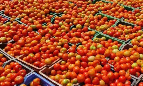 சென்னையில் தக்காளி விலை மீண்டும் அதிகரிப்பு