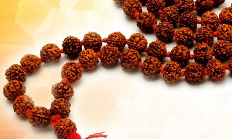 ருத்ராட்சம் அணிவதால் கிடைக்கும் பலன்கள் ருத்ராட்சம் அணிவதால் கிடைக்கும் பலன்கள்