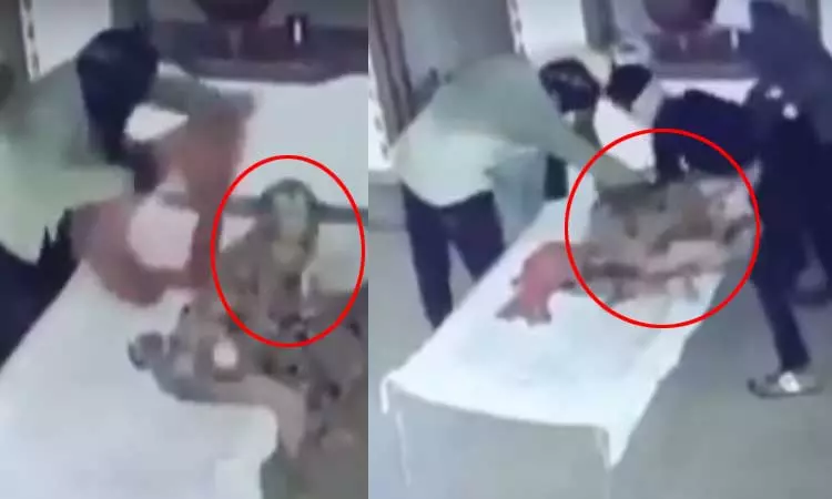 தனியாக உறங்கிக் கொண்டிருந்த மூதாட்டி.. வீட்டிற்குள் நுழைந்த 5 கொள்ளையர்கள்- அதிர்ச்சி வீடியோ தனியாக உறங்கிக் கொண்டிருந்த மூதாட்டி.. வீட்டிற்குள் நுழைந்த 5 கொள்ளையர்கள்- அதிர்ச்சி வீடியோ