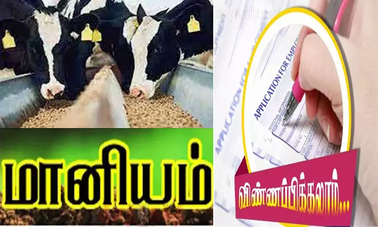 கறவை பசுக்களுக்கு 50 சதவீதம் மானியத்துடன் ஊட்டச்சத்து வழங்கும் திட்டம்: தூத்துக்குடி கலெக்டர் தகவல்