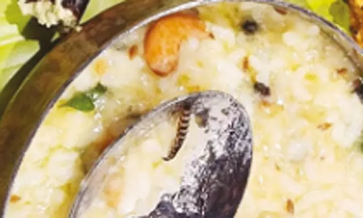 பெங்களூரு விமான நிலையத்தில் பிரபல ஓட்டலில் வாங்கிய பொங்கலில் புழு கிடந்ததால் பரபரப்பு பெங்களூரு விமான நிலையத்தில் பிரபல ஓட்டலில் வாங்கிய பொங்கலில் புழு கிடந்ததால் பரபரப்பு