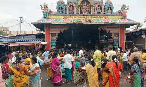 நீண்ட வரிசையில் காத்திருந்து சமயபுரம் மாரியம்மனை தரிசனம் செய்த பக்தர்கள் நீண்ட வரிசையில் காத்திருந்து சமயபுரம் மாரியம்மனை தரிசனம் செய்த பக்தர்கள்