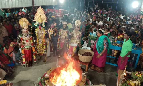 வனபத்ரகாளி அம்மன் கோவிலில் மிளகாய் யாகம் வனபத்ரகாளி அம்மன் கோவிலில் மிளகாய் யாகம்