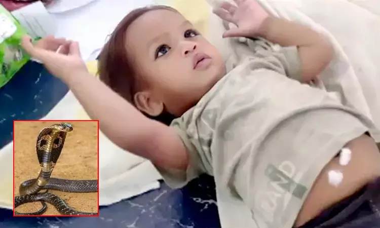 பொம்மை என நினைத்து பாம்பை பிடித்து கடித்த 1 வயது குழந்தை... அடுத்து நடந்த சம்பவம்