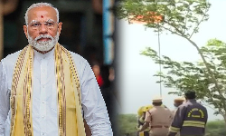 ஹெலிபேட் அருகே தேன்கூடு