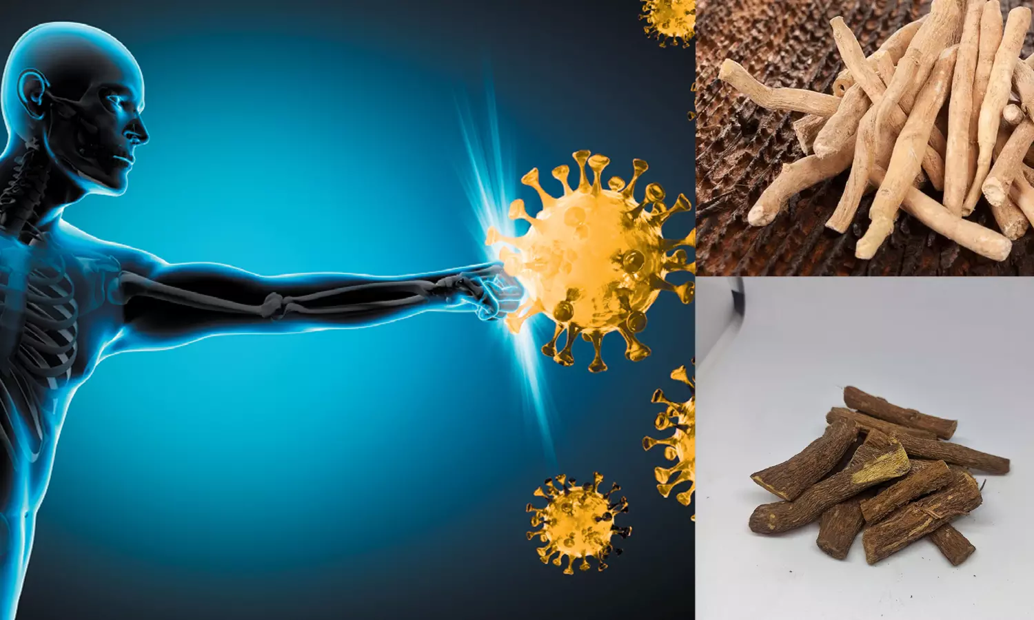 நோய் எதிர்ப்பு சக்தியை அதிகரிக்க உதவும் 7 ஆயுர்வேத பொருட்கள்..!