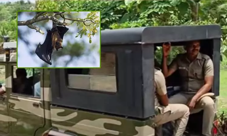 வவ்வால்களை வேட்டையாடி சில்லி சிக்கன் என கூறி விற்பனை - 2 பேரை கைது செய்த வனத்துறை