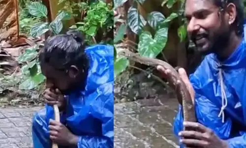 பாம்புக்கு வாய் வழியே செயற்கை சுவாசம்... காப்பாற்றிய ஹீரோ; குவியும் பாராட்டுகள் பாம்புக்கு வாய் வழியே செயற்கை சுவாசம்... காப்பாற்றிய ஹீரோ; குவியும் பாராட்டுகள்