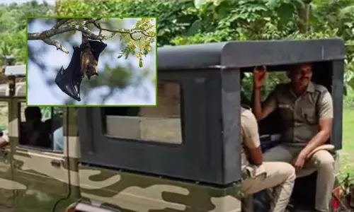 வவ்வால்களை வேட்டையாடி சில்லி சிக்கன் என கூறி விற்பனை - 2 பேரை கைது செய்த வனத்துறை