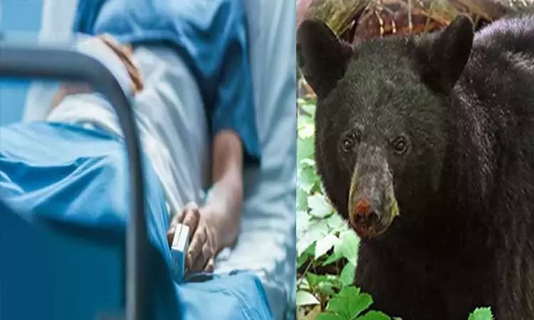 ஆடு மேய்ப்பவரை தாக்கிய கரடி - கள்ளக்குறிச்சியில் பரபரப்பு ஆடு மேய்ப்பவரை தாக்கிய கரடி - கள்ளக்குறிச்சியில் பரபரப்பு