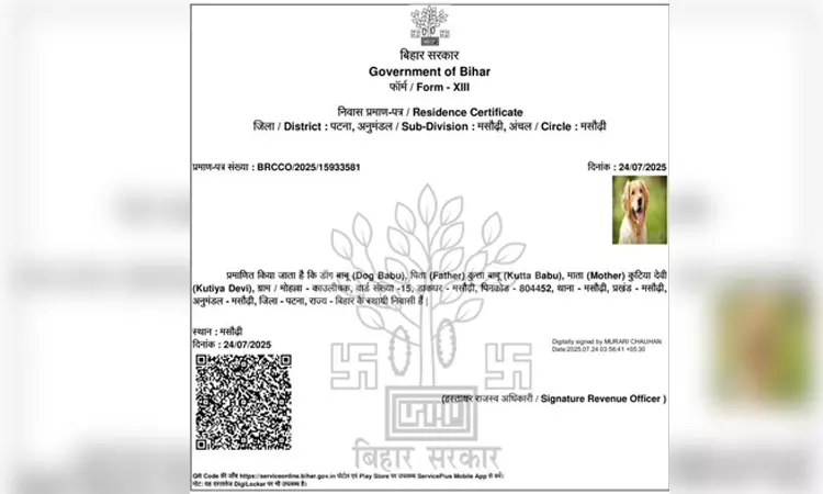 பீகாரில் நாய்க்கு இருப்பிட சான்றிதழ்... வைரலான பதிவால் கடும் சர்ச்சை