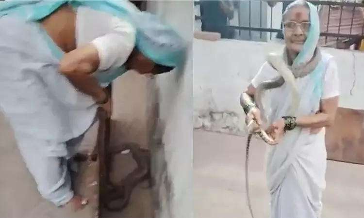 பாம்பை பிடித்து கழுத்தில் மாலைபோல் அணிந்துகொண்டு விளையாடிய 70 வயது சினேக் பாட்டி