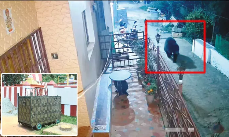 நீலகிரி: குடியிருப்பில் சுற்றித்திரியும் கரடியை பிடிக்க கூண்டு வைப்பு