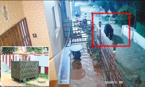 நீலகிரி: குடியிருப்பில் சுற்றித்திரியும் கரடியை பிடிக்க கூண்டு வைப்பு நீலகிரி: குடியிருப்பில் சுற்றித்திரியும் கரடியை பிடிக்க கூண்டு வைப்பு