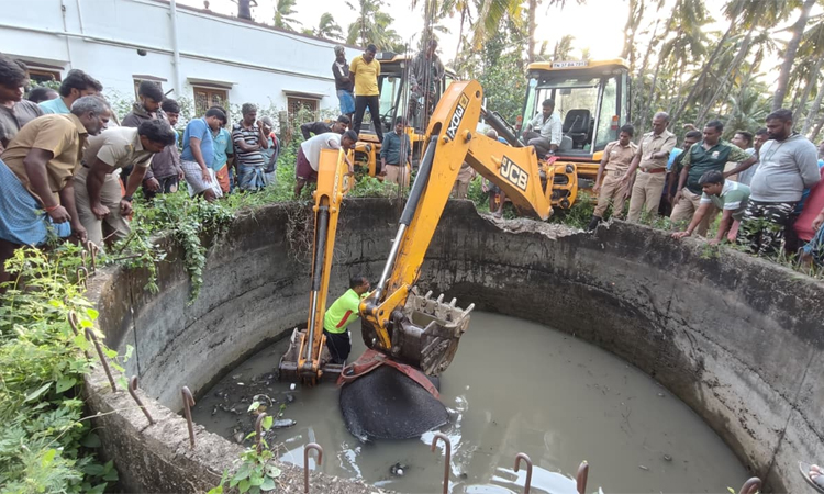 கோவையில் தோட்டத்து கிணற்றில் தவறி விழுந்து யானை உயிரிழப்பு