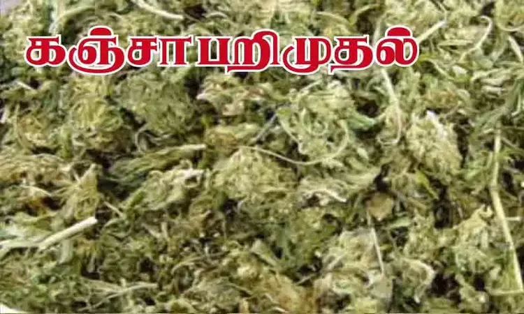 தூத்துக்குடியில் இருந்து இலங்கைக்கு கடத்த முயன்ற 210 கிலோ கஞ்சா பறிமுதல்: போலீஸ் விசாரணை தூத்துக்குடியில் இருந்து இலங்கைக்கு கடத்த முயன்ற 210 கிலோ கஞ்சா பறிமுதல்: போலீஸ் விசாரணை