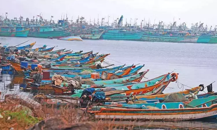 தமிழ்நாட்டில் ரூ.124.21 கோடியில் 2 மீன்பிடித்துறைமுகங்கள் - மத்திய அரசு ஒப்புதல் தமிழ்நாட்டில் ரூ.124.21 கோடியில் 2 மீன்பிடித்துறைமுகங்கள் - மத்திய அரசு ஒப்புதல்