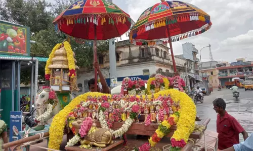 சென்னிமலை கைலாசநாதர் கோவிலில் சுந்தரமூர்த்தி நாயனார் குருபூஜை விழா சென்னிமலை கைலாசநாதர் கோவிலில் சுந்தரமூர்த்தி நாயனார் குருபூஜை விழா