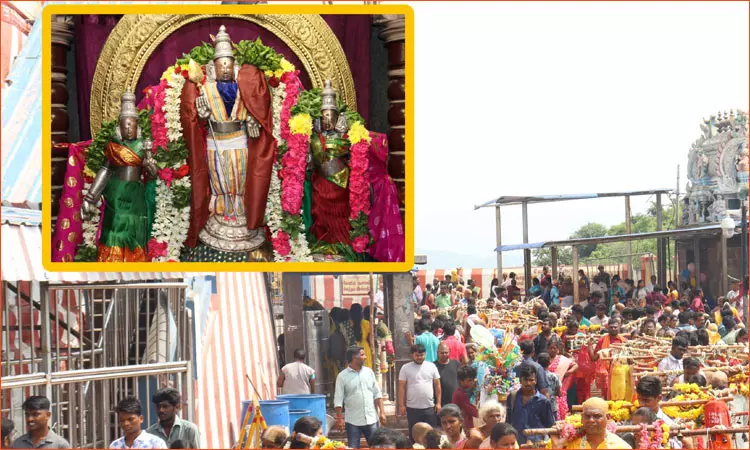 திருத்தணி முருகன் கோவிலில் காவடிகளுடன் குவிந்த பக்தர்கள்