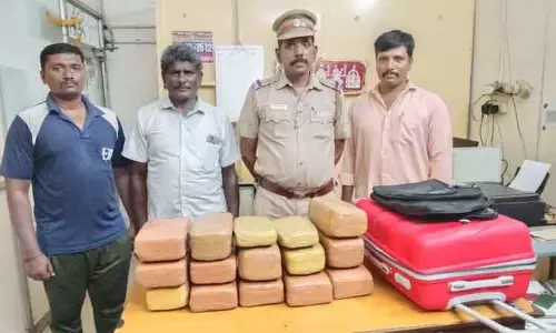 சென்னை சென்டிரல் ரெயில் நிலையத்தில் 28 கிலோ கஞ்சா பறிமுதல்