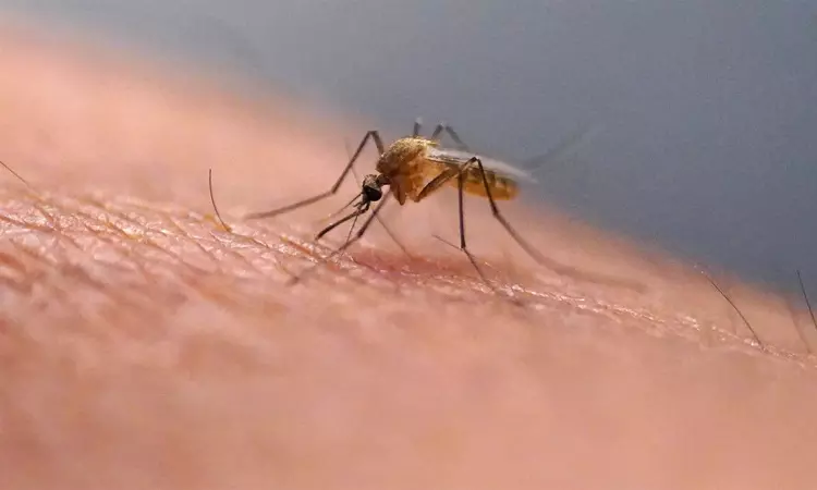 சீனாவில் வேகமாக பரவும் சிக்குன்குனியா - பாதிப்பு எண்ணிக்கை 7 ஆயிரமாக உயர்வு சீனாவில் வேகமாக பரவும் சிக்குன்குனியா - பாதிப்பு எண்ணிக்கை 7 ஆயிரமாக உயர்வு