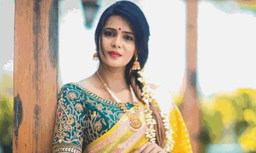 நடிகை மீரா மிதுன் டெல்லியில் கைது