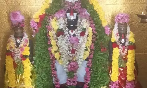நொய்யல்: பெருமாள் கோவில்களில் ஏகாதசி சிறப்பு வழிபாடு நொய்யல்: பெருமாள் கோவில்களில் ஏகாதசி சிறப்பு வழிபாடு