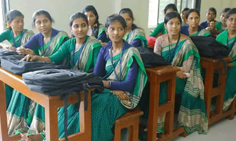 அரசு கல்லூரிகளில் எம்.எட் படிப்புக்கான மாணவர் சேர்க்கை  தொடக்கம்: அமைச்சர் தகவல்