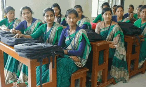 அரசு கல்லூரிகளில் எம்.எட் படிப்புக்கான மாணவர் சேர்க்கை  தொடக்கம்
