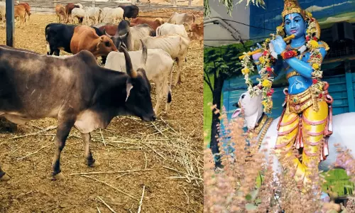 திருப்பதி எஸ்.வி. கோசாலையில் 16-ந்தேதி கோகுலாஷ்டமி விழா