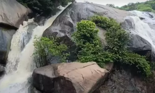 ஜலகாம்பாறை நீர்வீழ்ச்சியில் வெள்ளப்பெருக்கு - பொதுமக்கள் குளிக்க தடை விதிப்பு ஜலகாம்பாறை நீர்வீழ்ச்சியில் வெள்ளப்பெருக்கு - பொதுமக்கள் குளிக்க தடை விதிப்பு