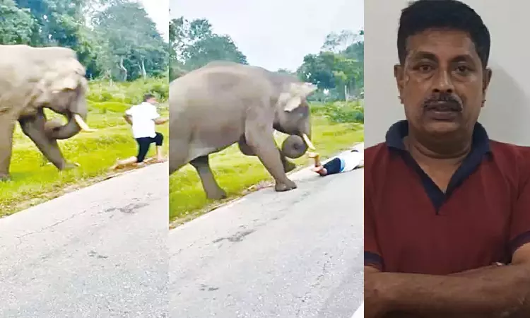 யானையிடம் மிதிவாங்கியவருக்கு ரூ.25,000 அபராதம் ... ... இன்றைய முக்கிய செய்திகள் சில வரிகளில்.. 12-08-2025 யானையிடம் மிதிவாங்கியவருக்கு ரூ.25,000 அபராதம் ... ... இன்றைய முக்கிய செய்திகள் சில வரிகளில்.. 12-08-2025