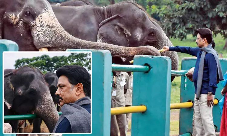 யானைகள் பாதுகாப்பாகவும் சுதந்திரமாகவும் திகழ உறுதியேற்போம்: மு.க.ஸ்டாலின் யானைகள் பாதுகாப்பாகவும் சுதந்திரமாகவும் திகழ உறுதியேற்போம்: மு.க.ஸ்டாலின்