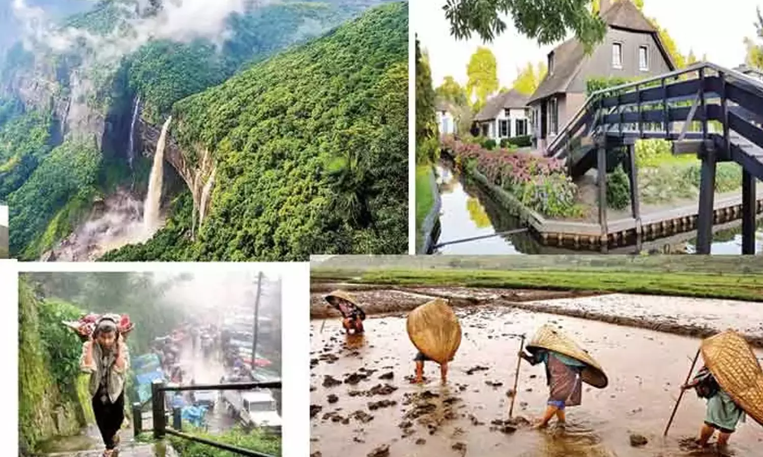 வித்தியாசமான 'வில்லேஜ்'!