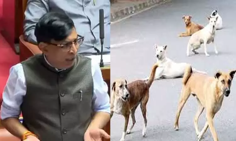 ‘2,800 நாய்களை கொன்று புதைத்துள்ளோம்’ - கர்நாடக எம்.எல்.ஏ. பரபரப்பு பேச்சு