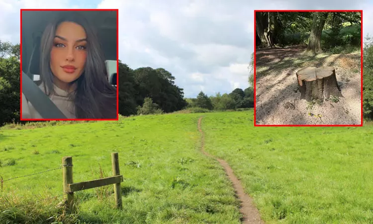 கணவன் கண் முன்னே... பூங்காவில் முறிந்து விழுந்த மரம்; மகளை காப்பாற்றி விட்டு உயிரிழந்த தாய்