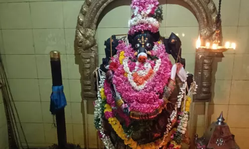 பஞ்சமி  வழிபாடு: சிறப்பு அலங்காரத்தில் பக்தர்களுக்கு அருள்பாலித்த வாராகி அம்மன்