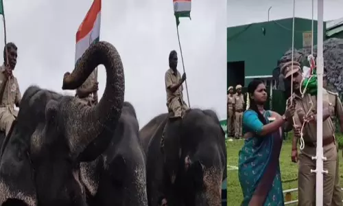 சுதந்திர தின விழா; முதுமலை காப்பகத்தில் தேசியக் கொடிக்கு மரியாதை செலுத்திய யானைகள்