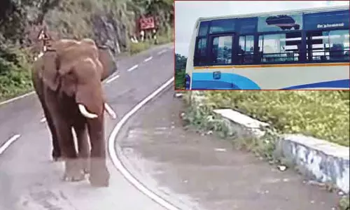 அரசு பஸ்சை வழிமறித்து கண்ணாடியை உடைத்த காட்டுயானை.. பயணிகள் அலறல்