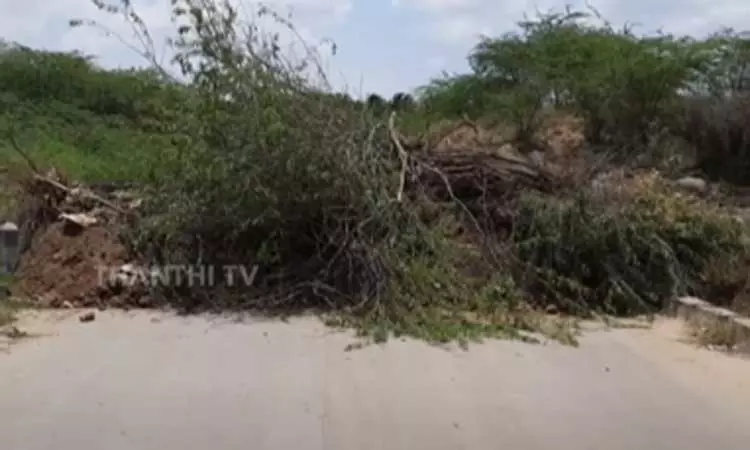 சீமை கருவேல மரங்களை அகற்றுவது தொடர்பான வழக்கு; அரசின் அறிக்கையை ஏற்க ஐகோர்ட்டு மறுப்பு