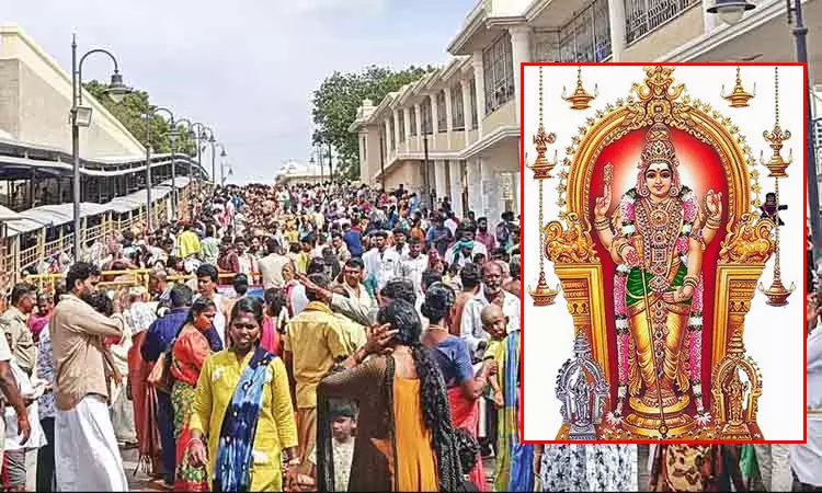 திருச்செந்தூரில் அலைமோதும் பக்தர்கள் கூட்டம்... 5 மணி நேரம் காத்திருந்து தரிசனம் திருச்செந்தூரில் அலைமோதும் பக்தர்கள் கூட்டம்... 5 மணி நேரம் காத்திருந்து தரிசனம்