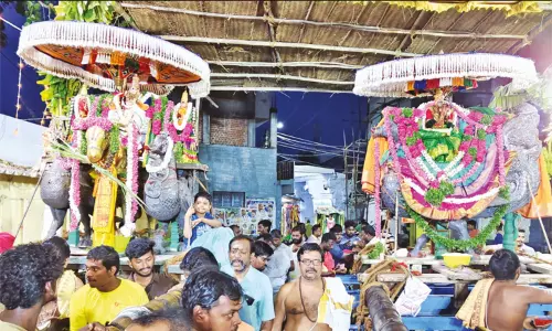 திருச்செந்தூர் ஆவணித் திருவிழா: தங்கமுத்துகிடா- வெள்ளி அன்ன வாகனத்தில் சுவாமிகள் வீதி உலா திருச்செந்தூர் ஆவணித் திருவிழா: தங்கமுத்துகிடா- வெள்ளி அன்ன வாகனத்தில் சுவாமிகள் வீதி உலா