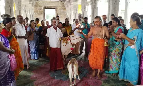 ஆவணி  மாத பிறப்பு... சீர்காழி சட்டைநாதர் கோவிலில்  சிறப்பு கோ பூஜை