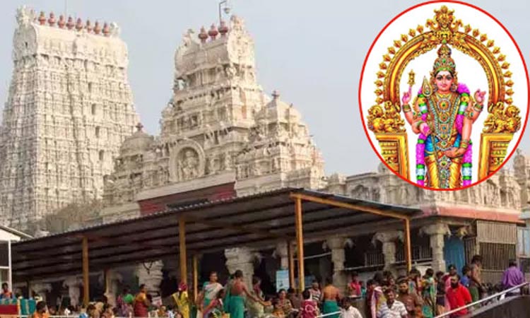 இந்த வார விசேஷங்கள்: 19-8-2025 முதல் 25-8-2025 வரை