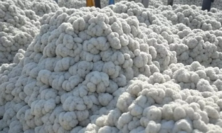 பருத்தி மீதான 11 சதவீத இறக்குமதி வரி ரத்து- மத்திய அரசு அறிவிப்பு