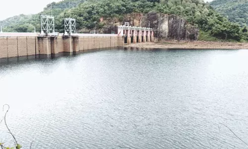 மேற்கு தொடர்ச்சி மலையில் தொடர் மழை: ஒரே நாளில் 5 அடி உயர்ந்த சேர்வலாறு அணை நீர்மட்டம் மேற்கு தொடர்ச்சி மலையில் தொடர் மழை: ஒரே நாளில் 5 அடி உயர்ந்த சேர்வலாறு அணை நீர்மட்டம்