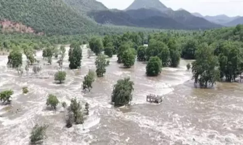 ஒகேனக்கல்லுக்கு நீர்வரத்து 1.35 லட்சம் கனஅடியாக அதிகரிப்பு ஒகேனக்கல்லுக்கு நீர்வரத்து 1.35 லட்சம் கனஅடியாக அதிகரிப்பு