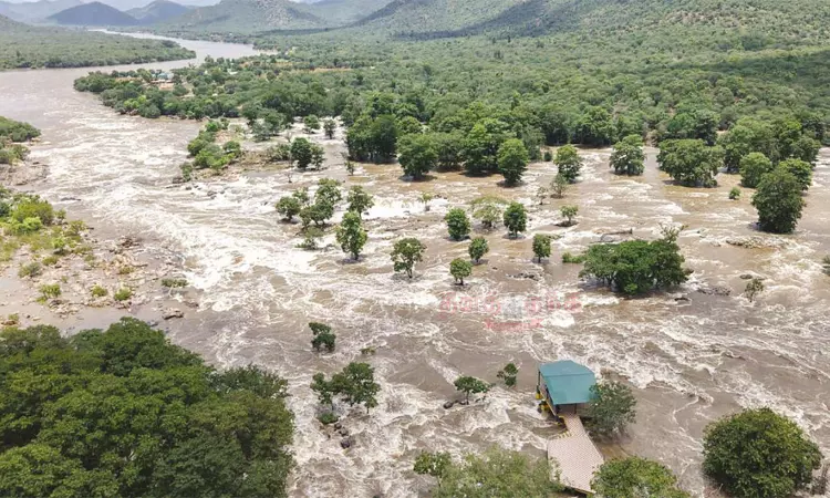  வெள்ளக்காடாக மாறிய ஒகேனக்கல்.. காவிரி கரையோர... ... இன்றைய முக்கிய செய்திகள்.. சில வரிகளில்.. 20-08-2025